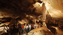 Jenolan Caves Colourful Day Trip - Departs Sydney
